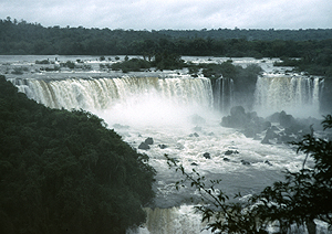 LEICA M6, SUMMICRON 2/50